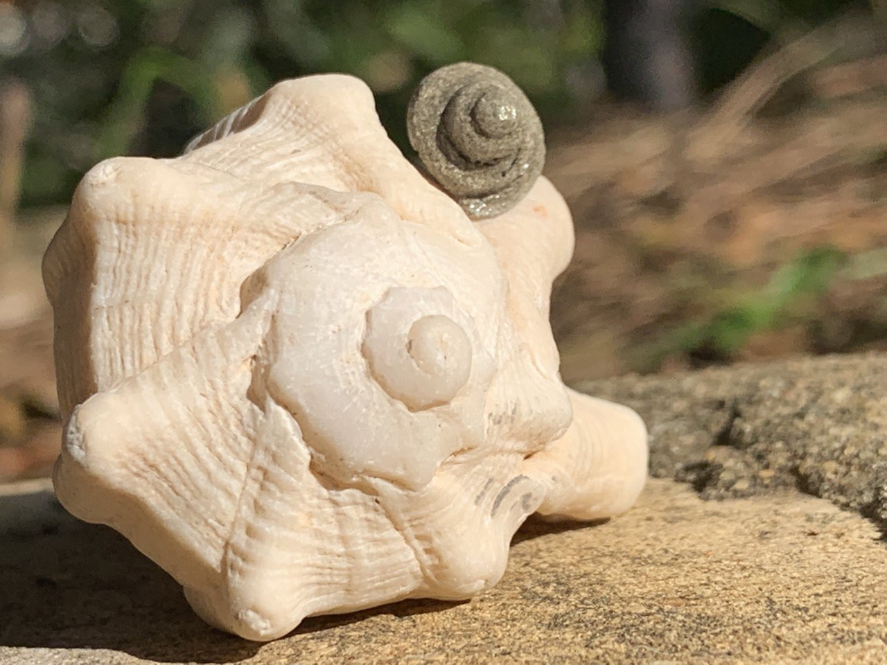 Музей бетона